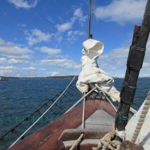 Sail the Seas Photo