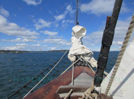 Sail the Seas Photo
