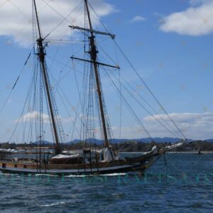 Sail Day Photo