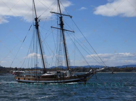 Sail Day Photo