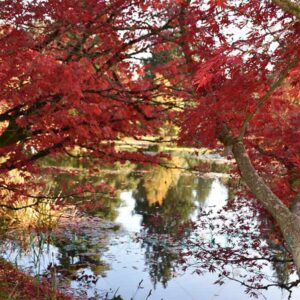 Secret Haven Photo