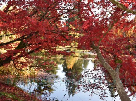 Secret Haven Photo