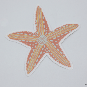 Sunrise Seastar Sticker